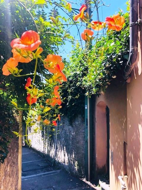 Romantic Garden Sea View Nervi Génova Exterior foto